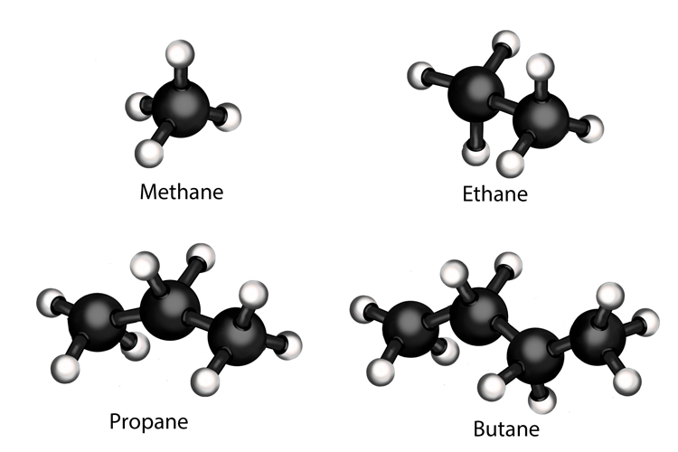 Hydrocarbons in crude oil are alkanes they have a single bond joining their atoms together these are Methane, Ethane, Propane, Butane